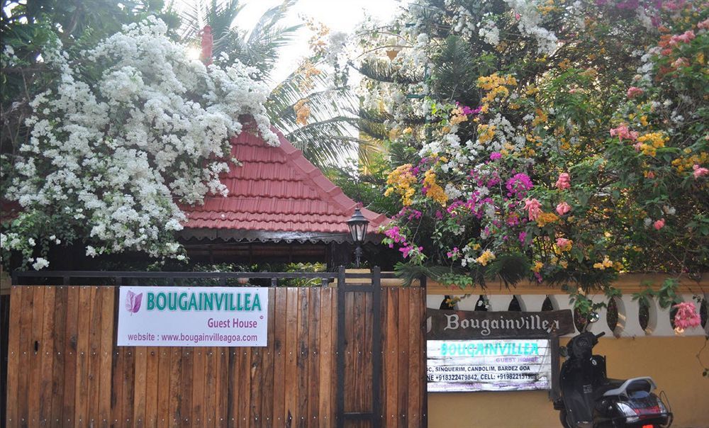 Bougainvillea Guest House Кандолим Екстериор снимка